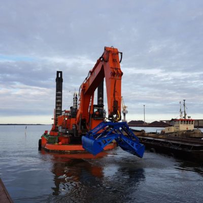 harald-1-1