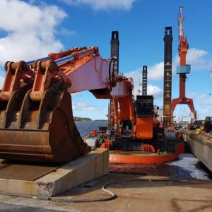 harald-1